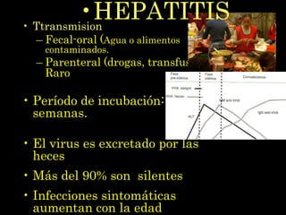 •HEPATITIS
• Ttransmision
  – Fecal-oral (Agua o alimentos
    contaminados.
  – Parenteral (drogas, transfusión)
    Raro

• Período de incubación: 2 – 6
  semanas.

• El virus es excretado por las
  heces
• Más del 90% son silentes
• Infecciones sintomáticas
  aumentan con la edad
 