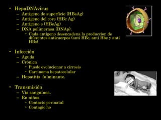 • HepaDNAvirus
   –   Antígeno de superficie (HBsAg)
   –   Antígeno del core (HBc Ag)
   –   Antígeno e (HBeAg)
   –   DNA polimerasa (DNAp).
        • Cada antígeno desencadena la produccion de
          diferentes anticuerpos (anti HBc, anti Hbe y anti
          HBs)

• Infección
   – Aguda
   – Crónica
        • Puede evolucionar a cirrosis
        • Carcinoma hepatocelular
   – Hepatitis fulminante.

• Transmisión
   – Vía sanguínea.
   – En niños
        • Contacto perinatal
        • Contagio horizontal: familiares portadores.
 