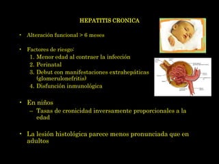 HEPATITIS CRONICA

• Alteración funcional > 6 meses

• Factores de riesgo:
    1. Menor edad al contraer la infección
    2. Perinatal
    3. Debut con manifestaciones extrahepáticas
       (glomerulonefritis)
    4. Disfunción inmunológica

• En niños
    – Tasas de cronicidad inversamente proporcionales a la
      edad

• La lesión histológica parece menos pronunciada que en
  adultos
 