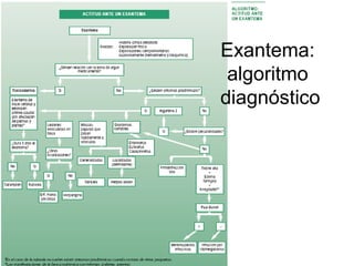 Exantema:
 algoritmo
diagnóstico
 