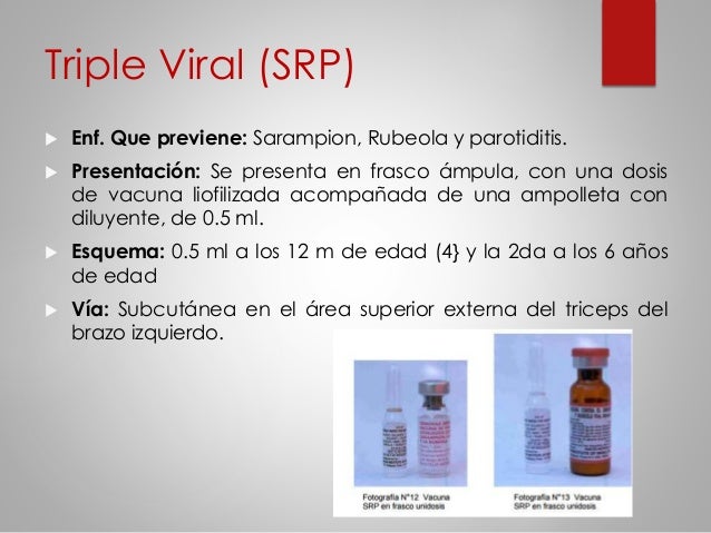 VACUNA SRP DOWNLOAD