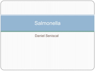 Salmonella

Daniel Seniscal
 