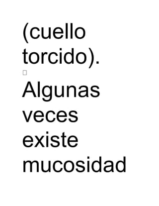 (cuello 
torcido). 
Algunas 
veces 
existe 
mucosidad 
 