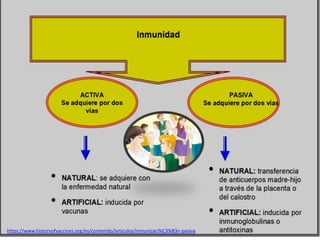 https://www.historyofvaccines.org/es/contenido/articulos/inmunizaci%C3%B3n-pasiva
 