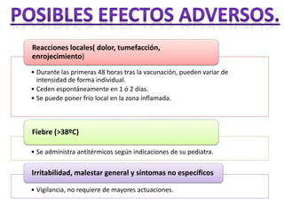 Reacciones locales( dolor, tumefacción, 
enrojecimiento) 
• Durante las primeras 48 horas tras la vacunación, pueden variar de 
intensidad de forma individual. 
• Ceden espontáneamente en 1 ó 2 días. 
• Se puede poner frío local en la zona inflamada. 
Fiebre (>38ºC) 
• Se administra antitérmicos según indicaciones de su pediatra. 
Irritabilidad, malestar general y síntomas no específicos 
• Vigilancia, no requiere de mayores actuaciones. 
 