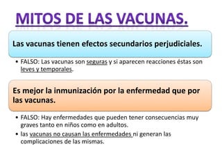 Las vacunas tienen efectos secundarios perjudiciales. 
• FALSO: Las vacunas son seguras y si aparecen reacciones éstas son 
leves y temporales. 
Es mejor la inmunización por la enfermedad que por 
las vacunas. 
• FALSO: Hay enfermedades que pueden tener consecuencias muy 
graves tanto en niños como en adultos. 
• las vacunas no causan las enfermedades ni generan las 
complicaciones de las mismas. 
 