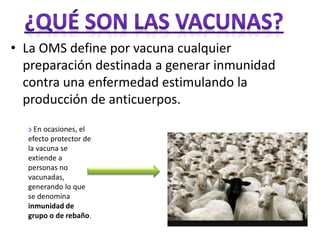 • La OMS define por vacuna cualquier 
preparación destinada a generar inmunidad 
contra una enfermedad estimulando la 
producción de anticuerpos. 
ͽ En ocasiones, el 
efecto protector de 
la vacuna se 
extiende a 
personas no 
vacunadas, 
generando lo que 
se denomina 
inmunidad de 
grupo o de rebaño. 
 