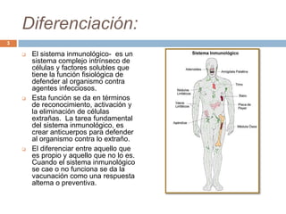 Diferenciación:
 El sistema inmunológico- es un
sistema complejo intrínseco de
células y factores solubles que
tiene la función fisiológica de
defender al organismo contra
agentes infecciosos.
 Esta función se da en términos
de reconocimiento, activación y
la eliminación de células
extrañas. La tarea fundamental
del sistema inmunológico, es
crear anticuerpos para defender
al organismo contra lo extraño.
 El diferenciar entre aquello que
es propio y aquello que no lo es.
Cuando el sistema inmunológico
se cae o no funciona se da la
vacunación como una respuesta
alterna o preventiva.
3
 
