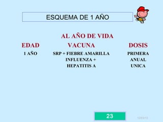 ESQUEMA DE 1 AÑO

           AL AÑO DE VIDA
EDAD        VACUNA               DOSIS
1 AÑO    SRP + FIEBRE AMARILLA   PRIMERA
              INFLUENZA +         ANUAL
               HEPATITIS A        UNICA




                            23      12/03/13
 
