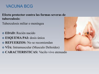 VACUNA BCG
Efecto protector contra las formas severas de
tuberculosis:
Tuberculosis miliar o meníngea
 EDAD: Recién nacido
 ESQUEMA PAI: dosis única
 REFUERZOS: No se recomiendan
 VÍA: Intramuscular (Musculo Deltoides)
 CARACTERISTICAS: Vacilo vivo atenuado
 