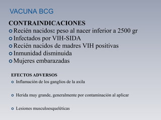 VACUNA BCG
CONTRAINDICACIONES
 Recién nacidos: peso al nacer inferior a 2500 gr
 Infectados por VIH-SIDA
 Recién nacidos de madres VIH positivas
 Inmunidad disminuida
 Mujeres embarazadas
EFECTOS ADVERSOS
 Inflamación de los ganglios de la axila
 Herida muy grande, generalmente por contaminación al aplicar
 Lesiones musculoesqueléticas
 