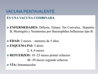 VACUNA PENTAVALENTE
ÉS UNA VACUNA COMBINADA
 ENFERMEDADES: Difteria, Tétano, Tos Convulsa, Hepatitis
B, Meningitis y Neumonías por Haemophilus Influenzae tipo B.
 EDAD: 2 meses – menores de 5 años
 ESQUEMA PAI: 3 dosis
2, 4, 6 meses
 REFUERZOS: 18 -23 meses primer refuerzo
48 -59 meses segundo refuerzo
 VÍA: Intramuscular
 