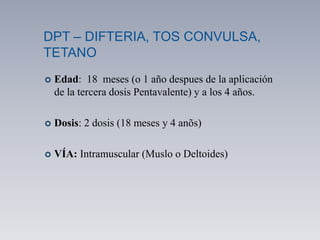 DPT – DIFTERIA, TOS CONVULSA,
TETANO
 Edad: 18 meses (o 1 año despues de la aplicación
de la tercera dosis Pentavalente) y a los 4 años.
 Dosis: 2 dosis (18 meses y 4 anõs)
 VÍA: Intramuscular (Muslo o Deltoides)
 