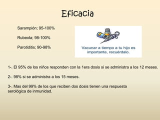 Eficacia
Sarampión; 95-100%

Rubeola; 98-100%
Parotiditis; 90-98%

1-. El 95% de los niños responden con la 1era dosis si se administra a los 12 meses.

2-. 98% si se administra a los 15 meses.
3-. Mas del 99% de los que reciben dos dosis tienen una respuesta
serológica de inmunidad.

 