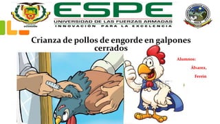 Crianza de pollos de engorde en galpones
cerrados
Alumnos:
Álvarez,
Ferrin
 