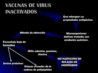 VACUNAS DE VIRUS INACTIVADOS Que retengan sus propiedades antigénicas Microorganismos dañinos tratados con productos químicos. Método de obtención Porcentaje bajo de  formalina NH2: adenina, guanina, citosina NO PARTICIPES EN ENLACES DE HIDRÓGENO Amino proteínas Enlaces cruzados de la cadena de polipéptidos 