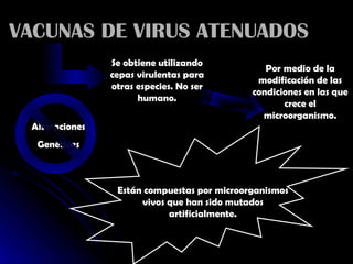 VACUNAS DE VIRUS ATENUADOS Se obtiene utilizando cepas virulentas para otras especies. No ser humano. Por medio de la modificación de las condiciones en las que crece el microorganismo. Alteraciones Genéticas Están compuestas por microorganismos vivos que han sido mutados artificialmente. 
