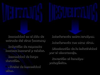 VENTAJAS DESVENTAJAS Interferencia entre serotipos. Interferencia con otros virus. Disminución de la infectividad por el almacenaje. Reversión al fenotipo patogénico. Imnunidad en el sitio de entrada del virus (mucosa) Inducción de respuesta inmune humoral y celular. Inmunidad de larga duración. Niveles de inmunidad altos. 