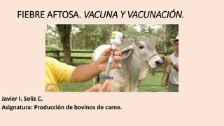 FIEBRE AFTOSA. VACUNA Y VACUNACIÓN.
Javier I. Soliz C.
Asignatura: Producción de bovinos de carne.
 