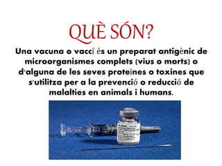 QUÈ SÓN?
Una vacuna o vaccí és un preparat antigènic de
microorganismes complets (vius o morts) o
d'alguna de les seves proteïnes o toxines que
s'utilitza per a la prevenció o reducció de
malalties en animals i humans.
 