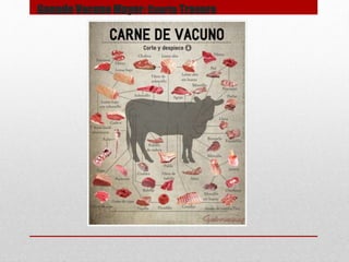 Ganado Vacuno Mayor: Cuarto Trasero
 