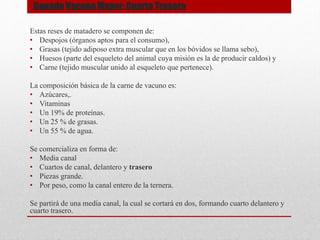 Estas reses de matadero se componen de:
• Despojos (órganos aptos para el consumo),
• Grasas (tejido adiposo extra muscular que en los bóvidos se llama sebo),
• Huesos (parte del esqueleto del animal cuya misión es la de producir caldos) y
• Carne (tejido muscular unido al esqueleto que pertenece).
La composición básica de la carne de vacuno es:
• Azúcares,.
• Vitaminas
• Un 19% de proteínas.
• Un 25 % de grasas.
• Un 55 % de agua.
Se comercializa en forma de:
• Media canal
• Cuartos de canal, delantero y trasero
• Piezas grande.
• Por peso, como la canal entero de la ternera.
Se partirá de una media canal, la cual se cortará en dos, formando cuarto delantero y
cuarto trasero.
Ganado Vacuno Mayor: Cuarto Trasero
 