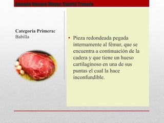 Ganado Vacuno Mayor: Cuarto Trasero
• Pieza redondeada pegada
internamente al fémur, que se
encuentra a continuación de la
cadera y que tiene un hueso
cartilaginoso en una de sus
puntas el cual la hace
inconfundible.
Categoría Primera:
Babilla
 