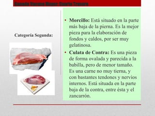 Ganado Vacuno Mayor: Cuarto Trasero
• Morcillo: Está situado en la parte
más baja de la pierna. Es la mejor
pieza para la elaboración de
fondos y caldos, por ser muy
gelatinosa.
• Culata de Contra: Es una pieza
de forma ovalada y parecida a la
babilla, pero de menor tamaño.
Es una carne no muy tierna, y
con bastantes tendones y nervios
internos. Está situada en la parte
baja de la contra, entre ésta y el
zancarrón.
Categoría Segunda:
 