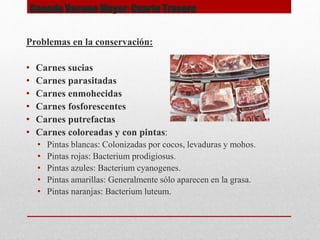 Problemas en la conservación:
• Carnes sucias
• Carnes parasitadas
• Carnes enmohecidas
• Carnes fosforescentes
• Carnes putrefactas
• Carnes coloreadas y con pintas:
• Pintas blancas: Colonizadas por cocos, levaduras y mohos.
• Pintas rojas: Bacterium prodigiosus.
• Pintas azules: Bacterium cyanogenes.
• Pintas amarillas: Generalmente sólo aparecen en la grasa.
• Pintas naranjas: Bacterium luteum.
Ganado Vacuno Mayor: Cuarto Trasero
 