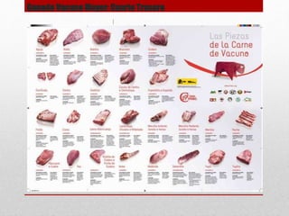 Ganado Vacuno Mayor: Cuarto Trasero
• Red
 