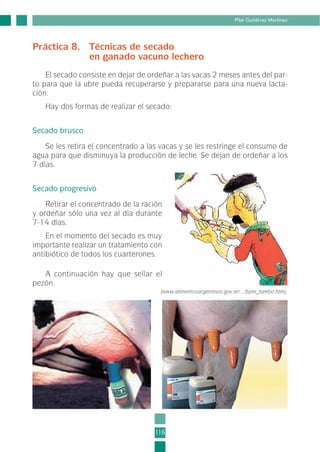 Práctica 8. Técnicas de secado
en ganado vacuno lechero
El secado consiste en dejar de ordeñar a las vacas 2 meses antes del par-
to para que la ubre pueda recuperarse y prepararse para una nueva lacta-
ción.
Hay dos formas de realizar el secado:
Secado brusco
Se les retira el concentrado a las vacas y se les restringe el consumo de
agua para que disminuya la producción de leche. Se dejan de ordeñar a los
7 días.
Secado progresivo
Retirar el concentrado de la ración
y ordeñar sólo una vez al día durante
7-14 días.
En el momento del secado es muy
importante realizar un tratamiento con
antibiótico de todos los cuarterones.
A continuación hay que sellar el
pezón.
116
Pilar Gutiérrez Martínez
(www.alimentosargentinos.gov.ar/.../bpm_tambo.htm).
3-INEA-MPMEVacunoLechero:Maquetación 1 22/12/07 12:46 Página 116
 
