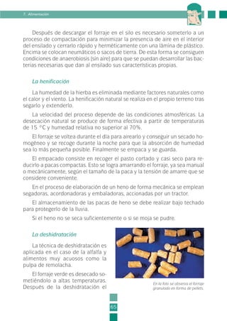 Después de descargar el forraje en el silo es necesario someterlo a un
proceso de compactación para minimizar la presencia de aire en el interior
del ensilado y cerrarlo rápido y herméticamente con una lámina de plástico.
Encima se colocan neumáticos o sacos de tierra. De esta forma se consiguen
condiciones de anaerobiosis (sin aire) para que se puedan desarrollar las bac-
terias necesarias que dan al ensilado sus características propias.
La henificación
La humedad de la hierba es eliminada mediante factores naturales como
el calor y el viento. La henificación natural se realiza en el propio terreno tras
segarlo y extenderlo.
La velocidad del proceso depende de las condiciones atmosféricas. La
desecación natural se produce de forma efectiva a partir de temperaturas
de 15 ºC y humedad relativa no superior al 70%.
El forraje se voltea durante el día para airearlo y conseguir un secado ho-
mogéneo y se recoge durante la noche para que la absorción de humedad
sea lo más pequeña posible. Finalmente se empaca y se guarda.
El empacado consiste en recoger el pasto cortado y casi seco para re-
ducirlo a pacas compactas. Esto se logra amarrando el forraje, ya sea manual
o mecánicamente, según el tamaño de la paca y la tensión de amarre que se
considere conveniente.
En el proceso de elaboración de un heno de forma mecánica se emplean
segadoras, acordonadoras y embaladoras, accionadas por un tractor.
El almacenamiento de las pacas de heno se debe realizar bajo techado
para protegerlo de la lluvia.
Si el heno no se seca suficientemente o si se moja se pudre.
La deshidratación
La técnica de deshidratación es
aplicada en el caso de la alfalfa y
alimentos muy acuosos como la
pulpa de remolacha.
El forraje verde es desecado so-
metiéndolo a altas temperaturas.
Después de la deshidratación el
65
7. Alimentación
En la foto se observa el forraje
granulado en forma de pellets.
2-INEA-MPMEVacunoLechero:Maquetación 1 22/12/07 12:32 Página 65
 