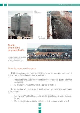 Zona de reposo o descanso
Está formado por un cobertizo, generalmente cerrado por tres caras y
abierto por la fachada orientada al sudeste:
— Debe estar protegido de los vientos dominantes para que no se creen
corrientes.
— La altura mínima del muro debe ser de 2 metros.
Es necesario e importante que los animales tengan acceso a zonas sole-
adas ya que:
— Los rayos UV del sol tienen una acción desinfectante sobre la insta-
lación.
— Por el papel imprescindible del sol en la síntesis de la vitamina D.
74
Pilar Gutiérrez Martínez
Silo de maíz
horizontal.
Silo
de piensos.
La figura muestra las distintas
partes en que se divide
un patio de estabulación.
Diseño
de un patio
de estabulación
2-INEA-MPMEVacunoLechero:Maquetación 1 22/12/07 12:32 Página 74
 