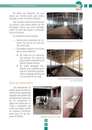 Se debe de disponer de una
plaza por animal para que todos
puedan comer al mismo tiempo.
Por la parte interna se construye
un pasillo cuya solera debe ser de
hormigón, tiene que estar elevado
sobre el nivel del patio e inclinada
hacia el mismo.
El comedero está situado:
— Dentro del cobertizo de re-
poso. Se usa en el caso de
los cubículos.
— Comedero exterior, en el caso
de la cama caliente:
• Se sitúa en un extremo
del parque de ejercicio
para poder suministrar el
pienso desde afuera.
• Se suele proteger me-
diante una cubierta para
que los animales puedan
comer al abrigo de la lluvia
y la comida no se moje.
Zona de abrevadero
Los bebederos se
deben situar en dos lo-
calizaciones separadas
alejados del pasillo de
alimentación para que
no se contamine el
agua con restos de co-
mida y alrededor de
cada uno debe existir
un espacio suficiente
para que no se blo-
quee el tráfico.
81
8. Instalaciones y alojamientos ganaderos
Pasillo de alimentación en alojamiento con cubículos.
Zona de alimentación en alojamiento
con cama caliente.
Bebederos de nivel constante.
2-INEA-MPMEVacunoLechero:Maquetación 1 22/12/07 12:32 Página 81
 