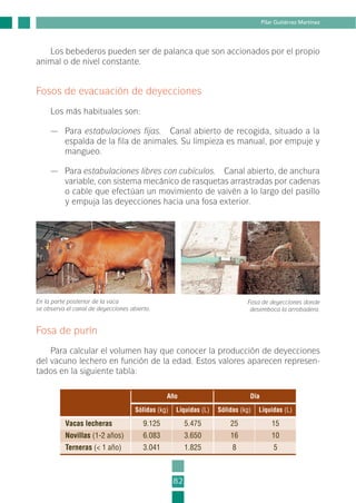 Los bebederos pueden ser de palanca que son accionados por el propio
animal o de nivel constante.
Fosos de evacuación de deyecciones
Los más habituales son:
— Para estabulaciones fijas. Canal abierto de recogida, situado a la
espalda de la fila de animales. Su limpieza es manual, por empuje y
mangueo.
— Para estabulaciones libres con cubículos. Canal abierto, de anchura
variable, con sistema mecánico de rasquetas arrastradas por cadenas
o cable que efectúan un movimiento de vaivén a lo largo del pasillo
y empuja las deyecciones hacia una fosa exterior.
82
Pilar Gutiérrez Martínez
Fosa de deyecciones donde
desemboca la arrobadera.
En la parte posterior de la vaca
se observa el canal de deyecciones abierto.
Fosa de purín
Para calcular el volumen hay que conocer la producción de deyecciones
del vacuno lechero en función de la edad. Estos valores aparecen represen-
tados en la siguiente tabla:
Año Día
Sólidas (kg) Líquidas (L) Sólidas (kg) Líquidas (L)
Vacas lecheras 9.125 5.475 25 15
Novillas (1-2 años) 6.083 3.650 16 10
Terneras (< 1 año) 3.041 1.825 8 5
2-INEA-MPMEVacunoLechero:Maquetación 1 22/12/07 12:32 Página 82
 