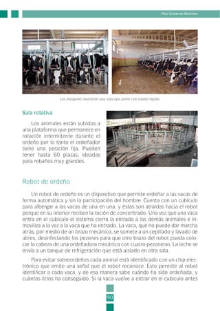 90
Pilar Gutiérrez Martínez
Las imágenes muestran una sala tipo peine con salida rápida.
Sala rotativa
Los animales están subidos a
una plataforma que permanece en
rotación intermitente durante el
ordeño por lo tanto el ordeñador
tiene una posición fija. Pueden
tener hasta 60 plazas, ideadas
para rebaños muy grandes.
Robot de ordeño
Un robot de ordeño es un dispositivo que permite ordeñar a las vacas de
forma automática y sin la participación del hombre. Cuenta con un cubículo
para albergar a las vacas de una en una, y éstas son atraídas hacia el robot
porque en su interior reciben la ración de concentrado. Una vez que una vaca
entra en el cubículo el sistema cierra la entrada a los demás animales e in-
moviliza a la vez a la vaca que ha entrado. La vaca, que no puede dar marcha
atrás, por medio de un brazo mecánico, se somete a un cepillado y lavado de
ubres, desinfectando los pezones para que otro brazo del robot pueda colo-
car la cabeza de una ordeñadora mecánica con cuatro pezoneras. La leche se
envía a un tanque de refrigeración que está aislado en otra sala.
Para evitar sobreordeños cada animal está identificado con un chip elec-
trónico que emite una señal que el robot reconoce. Esto permite al robot
identificar a cada vaca, y de esa manera sabe cuándo ha sido ordeñada, y
cuántos litros ha conseguido. Si la vaca vuelve a entrar en el cubículo antes
2-INEA-MPMEVacunoLechero:Maquetación 1 22/12/07 12:32 Página 90
 