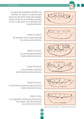 La siguiente mandíbula tendría una
edad de 20 meses, se observa que
las pinzas de leche están más adelga-
zadas a nivel de la mandíbula porque
se van a caer para ser sustituidas por
las permanentes.
99
Anexo. Prácticas
Edad 22 meses.
Se observa como están saliendo
las pinzas permanentes.
Edad 24 meses.
Las pinzas permanentes
están totalmente fuera.
Edad 30 meses.
Los primeros medianos
permanentes están saliendo.
Edad 36 meses.
Los primeros medianos permanentes
están totalmente fuera.
Edad 4 años.
Los segundos medianos permanente
han salido, sólo permanecen
los extremos de leche.
www.rosenbusch.com.ar/.../manual/cronometria.htm
3-INEA-MPMEVacunoLechero:Maquetación 1 22/12/07 12:46 Página 99
 