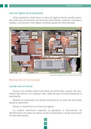 Libro de registro de la explotación
Cada explotación debe llevar un libro de registro donde quedan anota-
dos todos los movimientos de animales (nacimientos, muertes, entradas y
salidas, y sus fechas). Este registro también puede ser informatizado.
102
Pilar Gutiérrez Martínez
www.moscosaygusende.com/experiences0.html
Realización de la actividad
Cuando nace un animal
Colocar los crotales dentro del plazo de veinte días a partir del naci-
miento del animal y, en cualquier caso, antes de que el animal abandone la
explotación.
Notificar el nacimiento a la unidad veterinaria en un plazo de veinte días
desde el nacimiento.
Anotar el nacimiento en el libro de registro.
La unidad veterinaria expedirá al ganadero el Documento de
Identificación con todos sus datos, los de la explotación y los del animal que
ha sido identificado.
3-INEA-MPMEVacunoLechero:Maquetación 1 22/12/07 12:46 Página 102
 