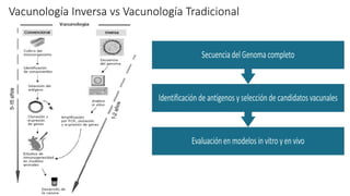 Vacunología Inversa vs Vacunología Tradicional
 
