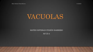 VACUOLAS
MATEO ESTEBAN PINZÓN BARRERO
M.V.Z-A
11/16/2016Mateo Esteban Pinzón Barrero
 