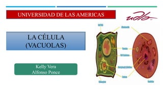 LA CÉLULA
(VACUOLAS)
Kelly Vera
Alfonso Ponce
UNIVERSIDAD DE LAS AMERICAS
 