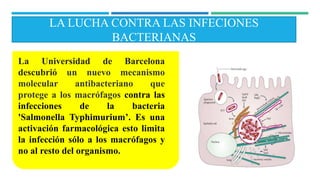 LA LUCHA CONTRA LAS INFECIONES
BACTERIANAS
La Universidad de Barcelona
descubrió un nuevo mecanismo
molecular antibacteriano que
protege a los macrófagos contra las
infecciones de la bacteria
'Salmonella Typhimurium’. Es una
activación farmacológica esto limita
la infección sólo a los macrófagos y
no al resto del organismo.
 