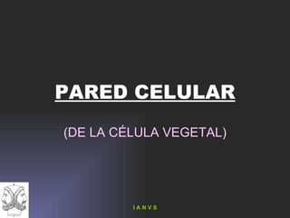 PARED CELULAR (DE LA CÉLULA VEGETAL)