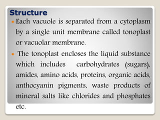 Structure
 Each vacuole is separated from a cytoplasm
by a single unit membrane called tonoplast
or vacuolar membrane.
 The tonoplast encloses the liquid substance
which includes carbohydrates (sugars),
amides, amino acids, proteins, organic acids,
anthocyanin pigments, waste products of
mineral salts like chlorides and phosphates
etc.
 