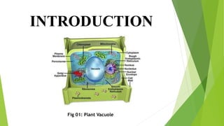 INTRODUCTION
Fig 01: Plant Vacuole
 