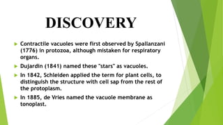 DISCOVERY
 Contractile vacuoles were first observed by Spallanzani
(1776) in protozoa, although mistaken for respiratory
organs.
 Dujardin (1841) named these "stars" as vacuoles.
 In 1842, Schleiden applied the term for plant cells, to
distinguish the structure with cell sap from the rest of
the protoplasm.
 In 1885, de Vries named the vacuole membrane as
tonoplast.
 