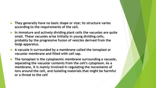  They generally have no basic shape or size; its structure varies
according to the requirements of the cell.
 In immature and actively dividing plant cells the vacuoles are quite
small. These vacuoles arise initially in young dividing cells,
probably by the progressive fusion of vesicles derived from the
Golgi apparatus.
 A vacuole is surrounded by a membrane called the tonoplast or
vacuolar membrane and filled with cell sap.
 The tonoplast is the cytoplasmic membrane surrounding a vacuole,
separating the vacuolar contents from the cell’s cytoplasm. As a
membrane, it is mainly involved in regulating the movements of
ions around the cell, and isolating materials that might be harmful
or a threat to the cell
 