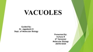 VACUOLES
Presented By:
Inchara R
6th Semester
Molecular Biology
28/05/2020
Guided By:
Dr. Jagadeesh D
Dept. of Molecular Biology
 
