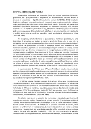ESTRUTURA E COMPOSIÇÃO DO VACÚOLO 
O vacúolo é semelhante aos lisossomos (ricos em enzimas hidrolíticas (proteases, glicosidases, etc.) que participam da degradação das macromoléculas celulares durante o processo de senescência - – digestão intracelular) nos animais (ISAYENKOV, 2010). Em células de plantas maduras, é o compartimento mais importante para armazenar nutrientes e solutos potencialmente nocivos (ISAYENKOV, 2010; MARTINOIA, 2007). É delimitado por apenas uma membrana lipoprotéica denominada tonoplasto (ou membrana vacuolar). Sua estrutura assemelha-se à da membrana plasmática, ou seja, é trilamelar, entretanto a porção mais interna pode ser mais espessada. O tonoplasto regula o tráfego de íons e metabólitos entre o citosol e o vacúolo, assim como a membrana plasmática regula a entrada de substâncias na célula (SIQUEIRA, 2008). 
No tonoplasto, semelhantemente ao que ocorre na membrana plasmática, há uma diversidade de proteínas que ajudam a manter o gradiente iônico entre o meio intra e extracelular, entre as quais, aquaporinas (proteínas específicas que constituem canais de água) a H+-ATPase e a H+-pirofosfatase (H+-PPase). A bomba de prótons ativa assemelha-se à da membrana plasmática, e prótons são levados do citoplasrna para o interior do vacúolo, criando uma força motora que direciona vários sistemas de transporte ativo secundário, essenciais em muitos processos metabólicos. O carregamento de Ca+ no vacúolo, por exemplo, é manejado por um tipo de bomba Ca2+-ATPase e sistema antiporte (em direções opostas – simporte=mesma direção) de Ca2+/H+ (PEITER, 2011). A H+-PPase tem como principal função transportar H+ para o lúmem, criando uma força elétron-motriz que impulsiona o transporte secundário de íons e compostos orgânicos, é uma bomba de próton eletrogênica que acidifica o lúmen do vacúolo nas células de plantas. Esta enzima é diferencialmente regulada em condições de stress conferindo uma maior tolerância das plantas aos fatores bióticos e abióticos (SIQUEIRA, 2008). 
A super-expressão da H+PPase, gene AVP1, em Arabidopsis resultou no aumento de divisões celulares no início da formação do organismo, hiperplasia (aumento do número celular), elevou o transporte de auxina e resultou em elevada tolerância ao sal devido ao aumento da absorção e acumulação de íons Na+ em seus vacúolos e consequentemente, uma maior capacidade osmorregulatória (GAXIOLA et al. 2007). 
A H+-ATPase vacuolar (também chamada de V-ATPase) difere tanto estruturalmente como funcionalmente da H+-ATPase da membrana plasmática. A hidrólise do ATP pela ATPase vacuolar não envolve a formação de um intermediário fosforilado. Devido a este processo de fosforilação da ATPase de membrana plasmática, estas enzimas são altamente inibidas pelo ortovanadato (HVO42-) um análogo do fosfato (HPO42-), que compete com o fosfato para a fosforilação do ácido aspártico no sítio catalítico da enzima, ou seja o ortovanadato se liga no sítio do fosfato, inibindo a enzima. (SIQUEIRA, 2008). 
Em células mais jovens os vacúolos são numerosos, e nas adultas, geralmente, só encontramos um único vacúolo. Eles variam de forma e tamanho. O conjunto de vacúolos é chamado de vacuoma (Universidade Castelo Branco, 2006). A célula meristemática recém- dividida contém muitos vacúolos. À medida que os vacúolos aumentam de volume, estes passam a se fundirem num só vacúolo central. O crescimento vacuolado que ocorre na zona de elongamento é caracterizado por uma rápida expansão celular sustentada pelo aumento da captação de água pelos vacúolos (COSGROVE, 1997). Um tipo especializado de vacúolo, conhecido como vacúolo protéico neutro, é abundante em sementes, servindo como o local de  