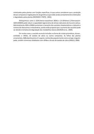 sintetizadas pelas plantas com funções específicas, Já que outros consideram que a produção desses compostos é regida pelas leis da genética e que estão sendo constantemente sintetizados e degradados pelas plantas (REZENDE E PINTO, 2003). 
Aleloquímicos como o 2(3H)-benzo-oxazolinoni (BOA) e 2,4-dihidroxi-1,4-benzoxazin- 3(4H) (DIBOA) pode reduzir a capacidade regenerativa de células radiculares de Cucumis sativus. Adicionalmente, BOA e DIBOA aumentam o tamanho dos vacúolos citoplasmáticos e reduzem o número de ribossomos e mitocôndrias, sendo então proposto que o aumento dos vacúolos pode ser devido à tentativa de degradação dos metabólitos tóxicos (BURGOS et al., 2004). 
Em muitos casos, o vacúolo acumula inclusões na forma de cristais prismáticos, drusas , estilóides e ráfides, de oxalato de cálcio ou outros compostos. As folhas das plantas ornamentais, Diffenbachia picta e D. seguine, conhecidas popularmente como comigo-ninguém- pode, contêm numerosos idioblastos com ráfides e drusas de oxalato de cálcio (KRAUS, 2006). 
 
